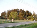 P4280118-13.jpg